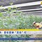 欧预赛临时替补喜怒参半，发挥神来之笔博得掌声