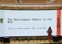 蒂拉泽未进的目标，令国奥失利