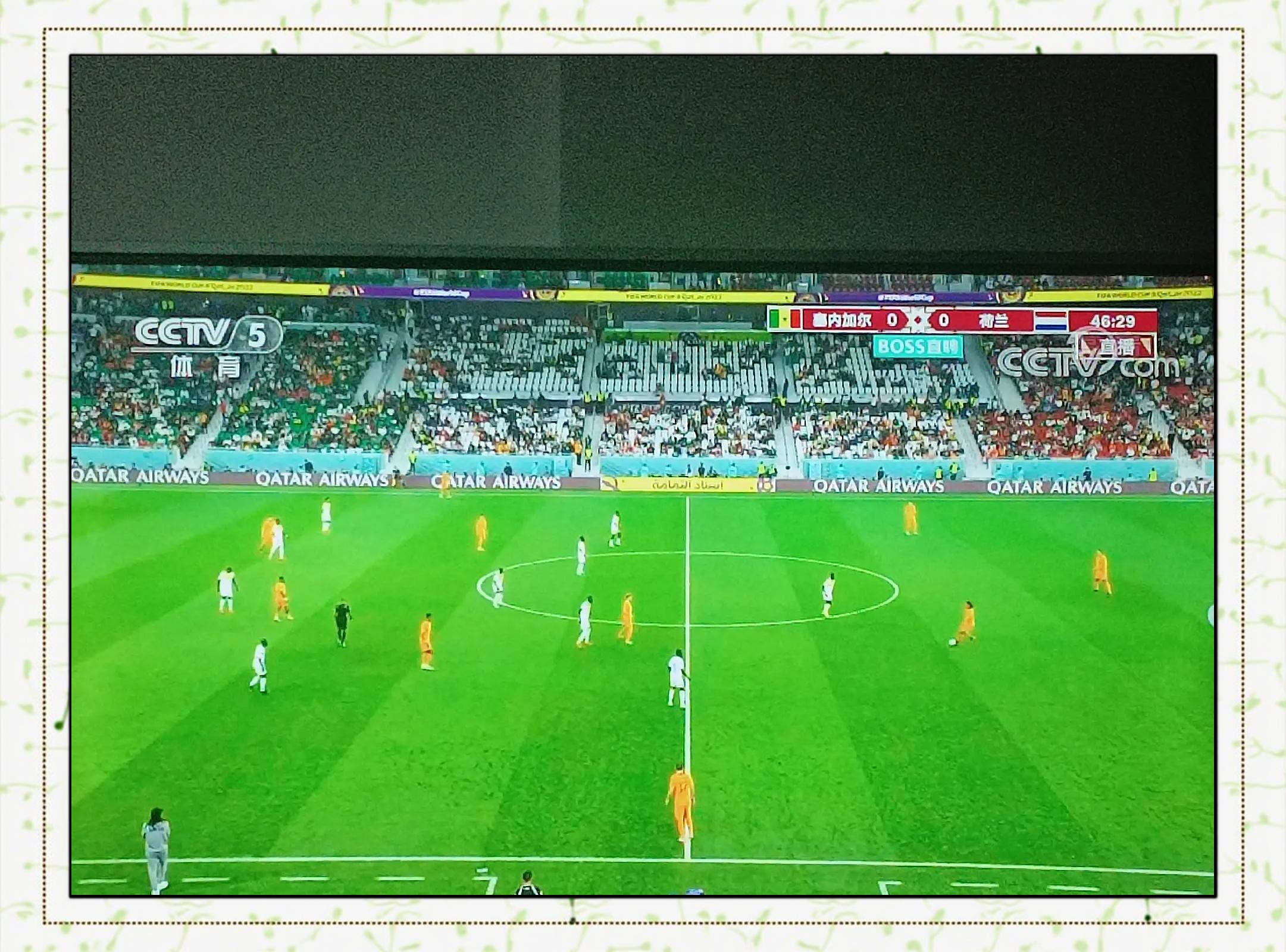 塞内加尔队实力逐步增强,备受瞩目 塞内加尔队实力逐步增强,备受瞩目